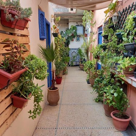 Studio Dar Rmila مراكش المظهر الخارجي الصورة